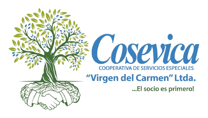 Logo COSEVICA